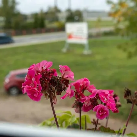 Apartmán дом для всех!